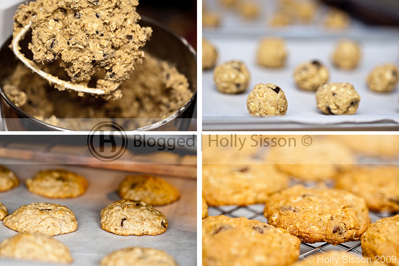 OatmealCookiesPanel2.jpg