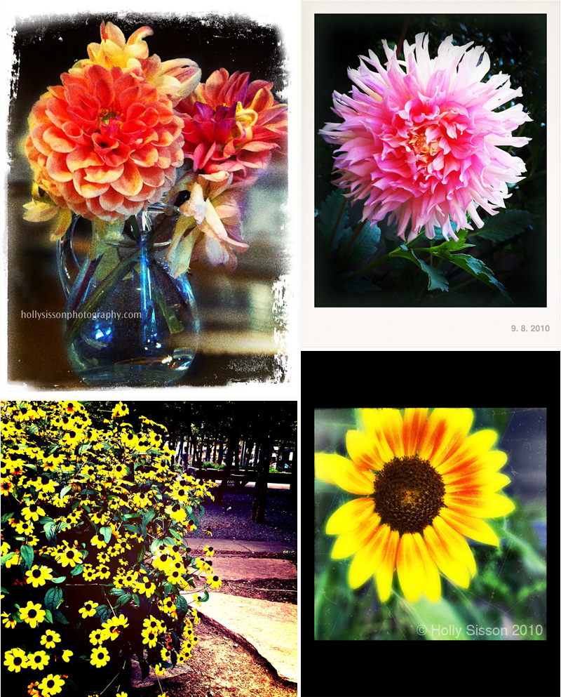 flowers_collage-iphone4.jpg