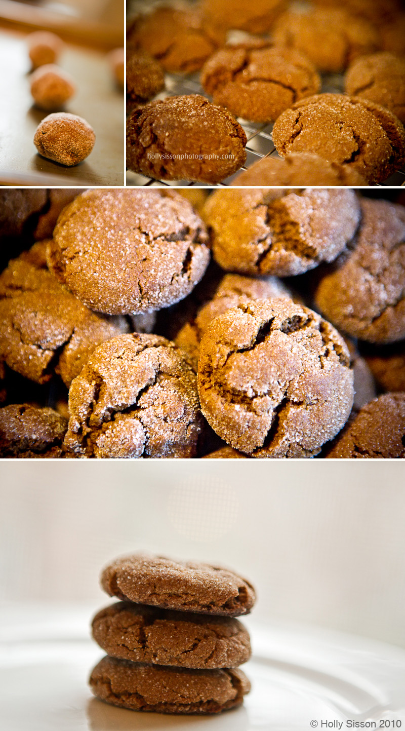 Soft and Chewy Molasses Spice Cookies.jpg