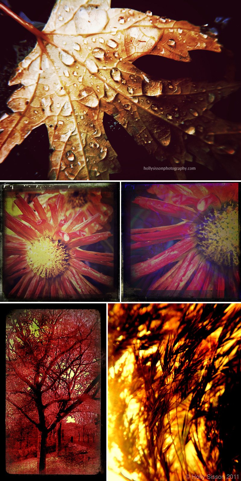 Fall-iPhoneography-Collage.jpg