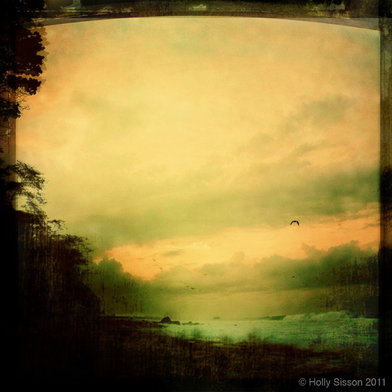 Flying to a Distant Shore