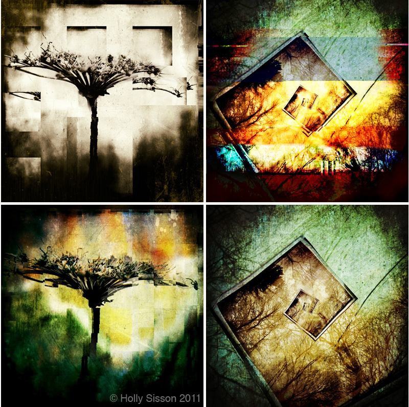 Weeds trees collage