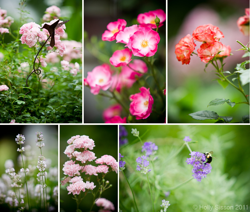 Moms flowers collage