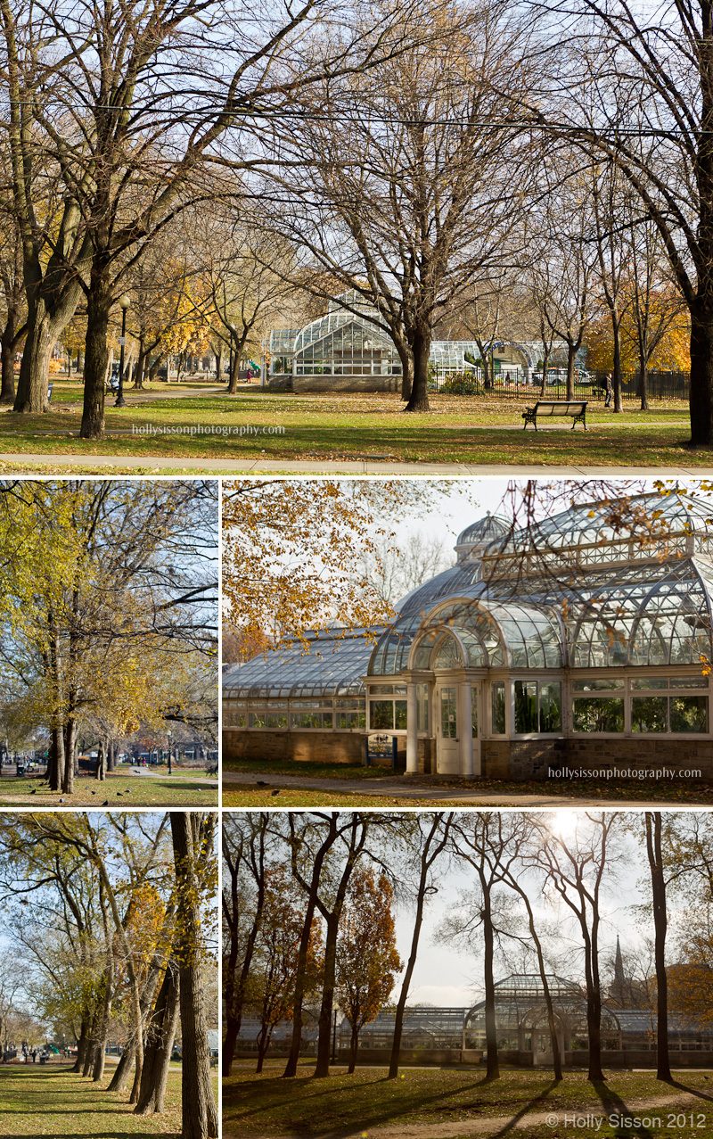 Allan Gardens college