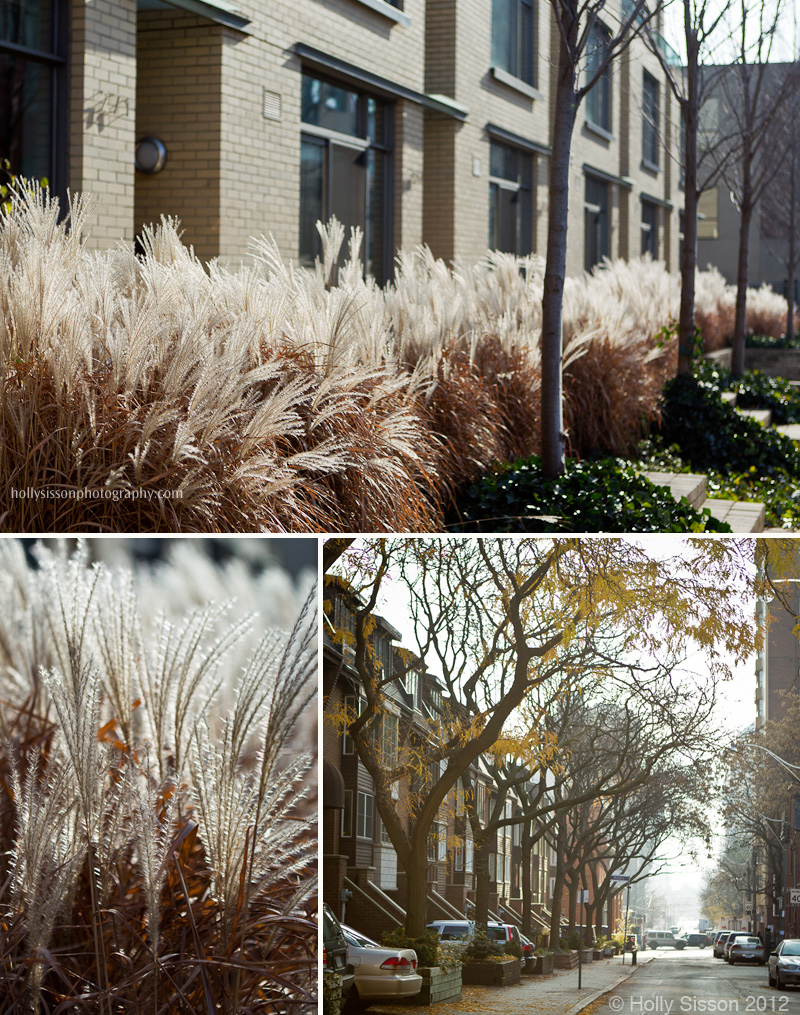 Streets downtown east