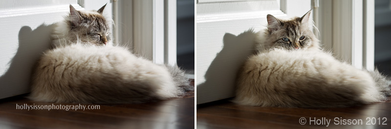 Alice enjoying the sun