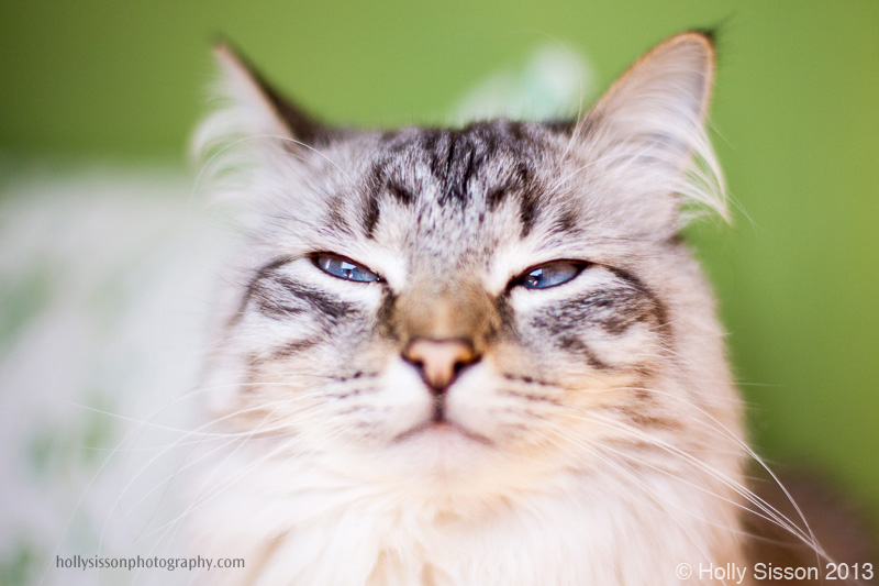 Finnegan squinting on deck 2