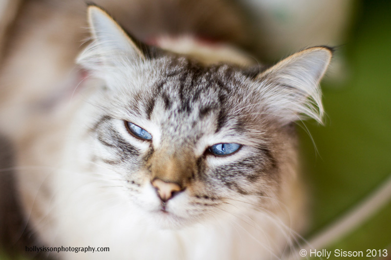 Finnegan squinting on deck