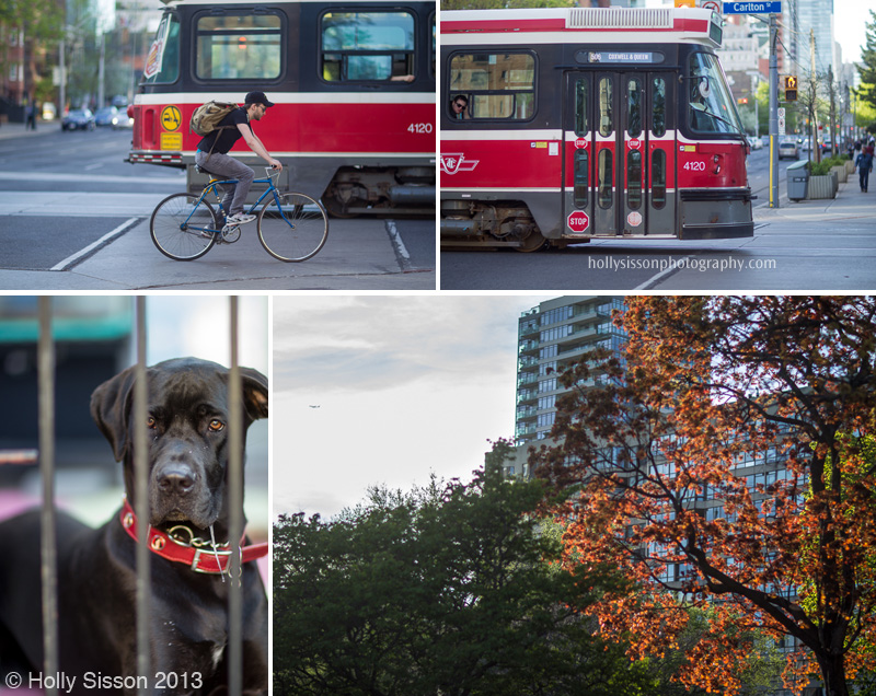 Spring time walkabout