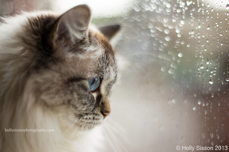 Alice at rainy window