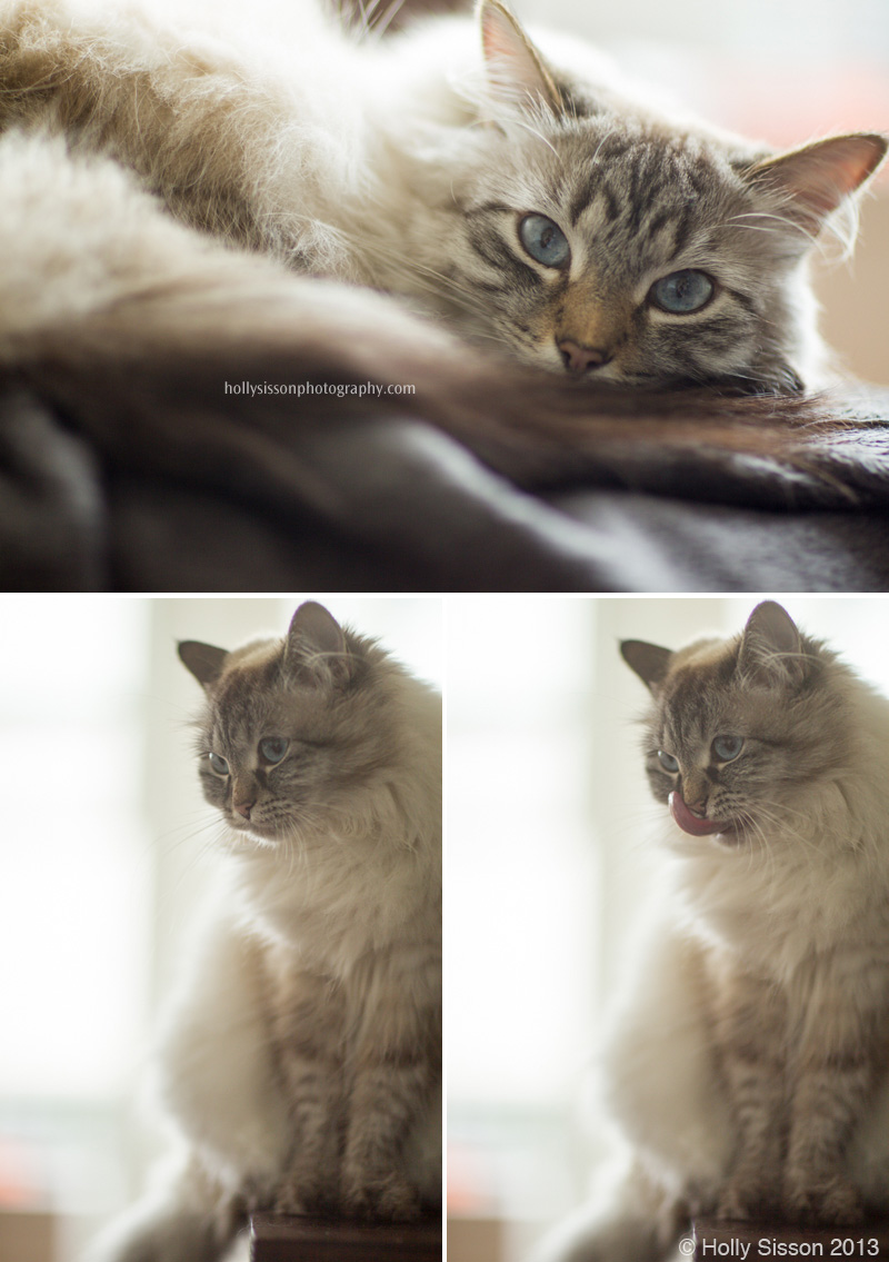 Alice FinneganBackLit