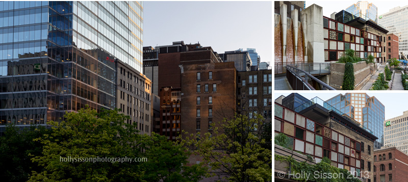 Cloud Gardens Collage